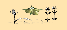 cabecera